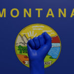 Montana Democrat - FI